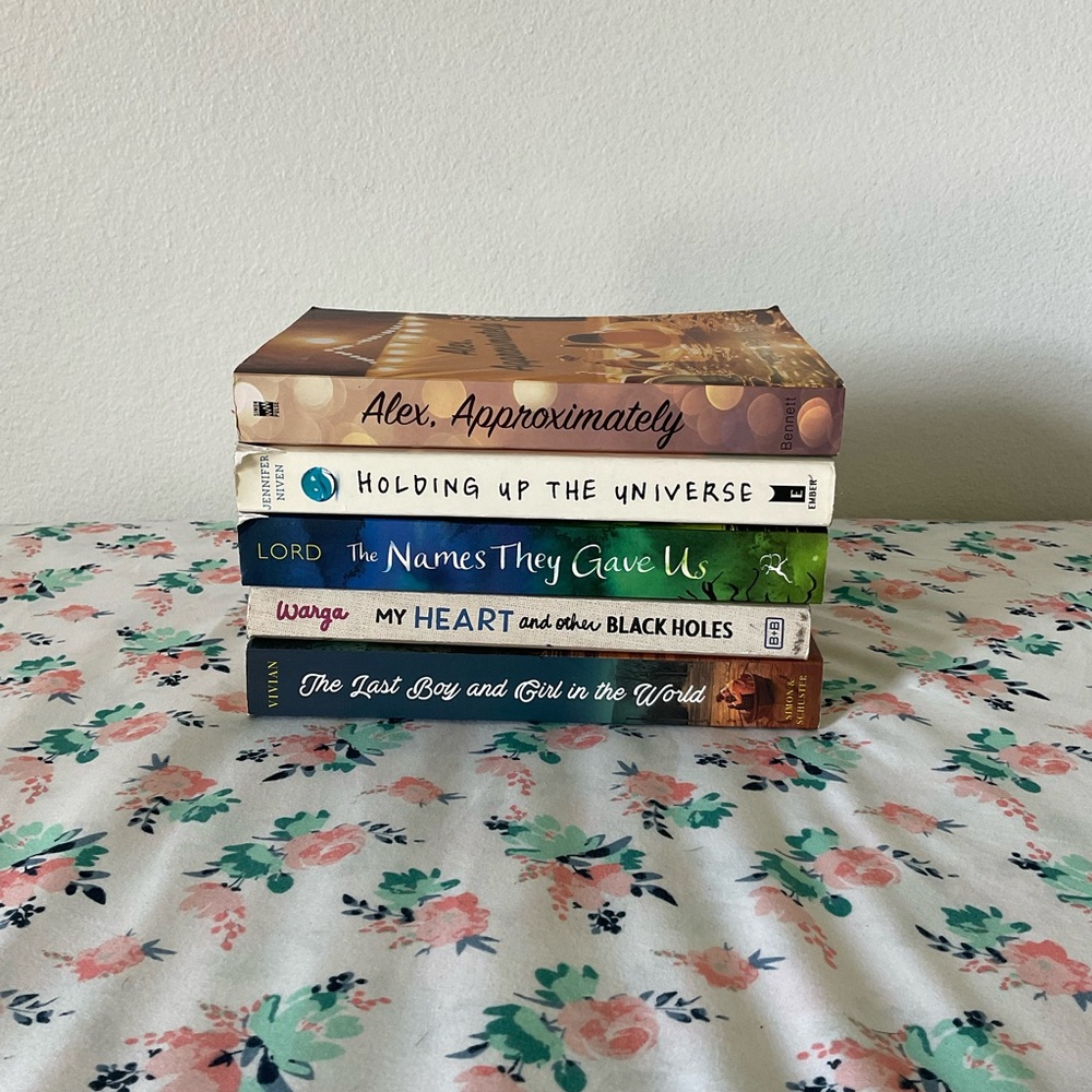 Young Adult YA Book Lot